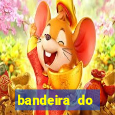 bandeira do flamengo para copiar